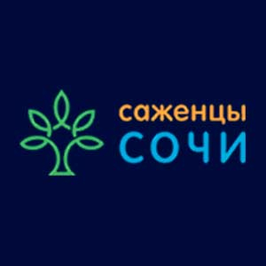 Продажи Саженцев Сочи.